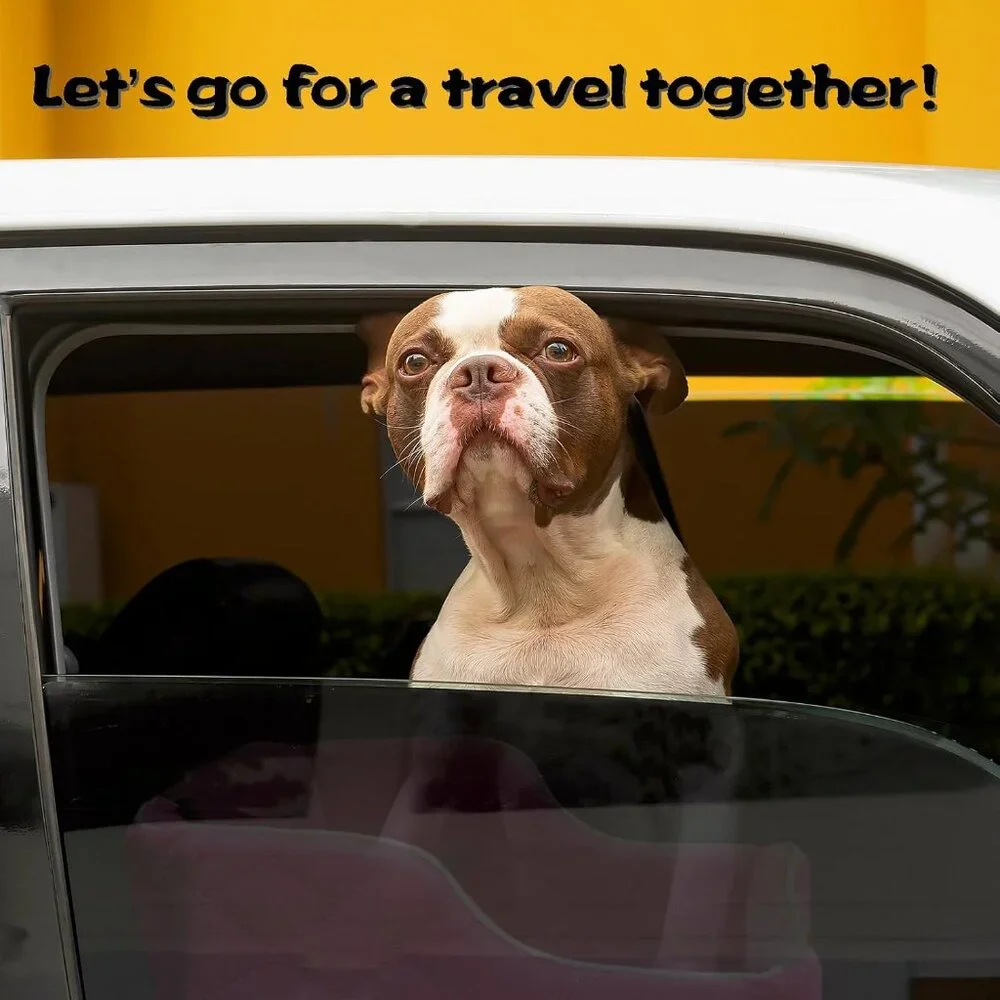 Dog Car Seat for Small Medium Dogs